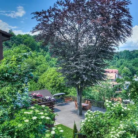 Splendor In The Forest Villa Brasov