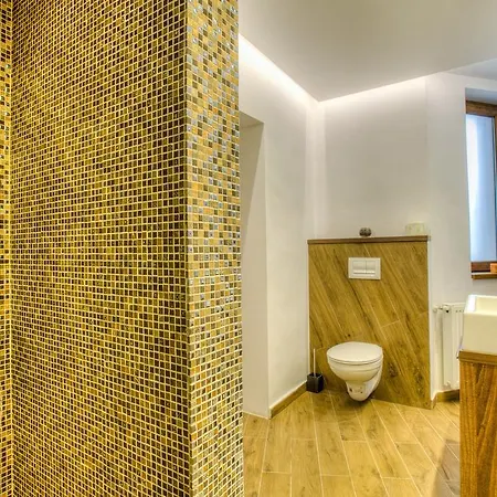 Splendor In The Forest