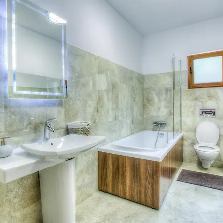 Splendor In The Forest ブラショフ