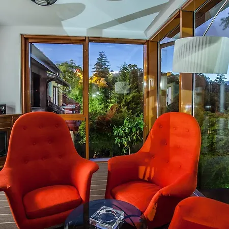 Splendor In The Forest * ブラショフ