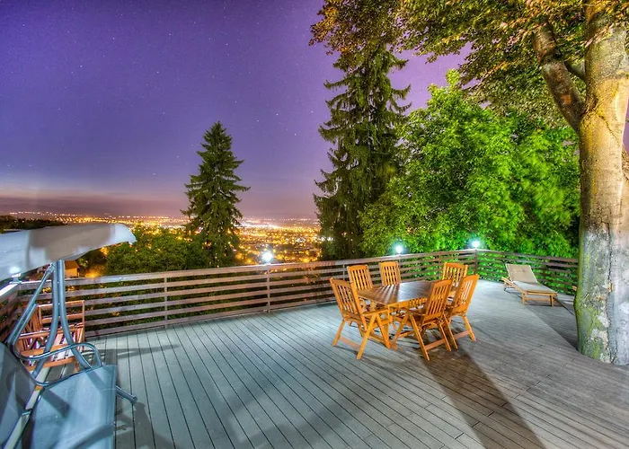 Splendor In The Forest ブラショフ