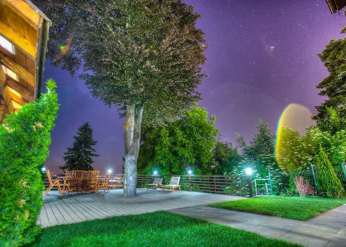 Splendor In The Forest *