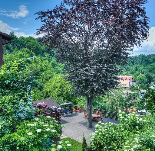 Splendor In The Forest Villa Braşov