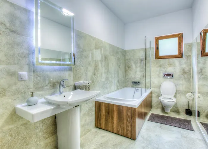 Splendor In The Forest ブラショフ