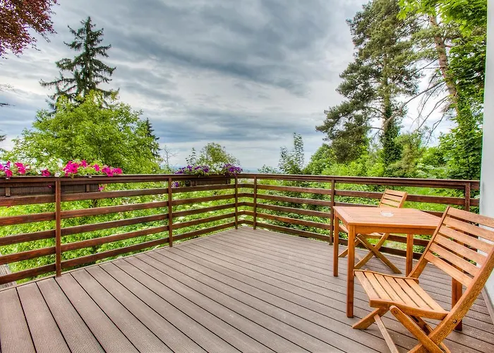 Splendor In The Forest