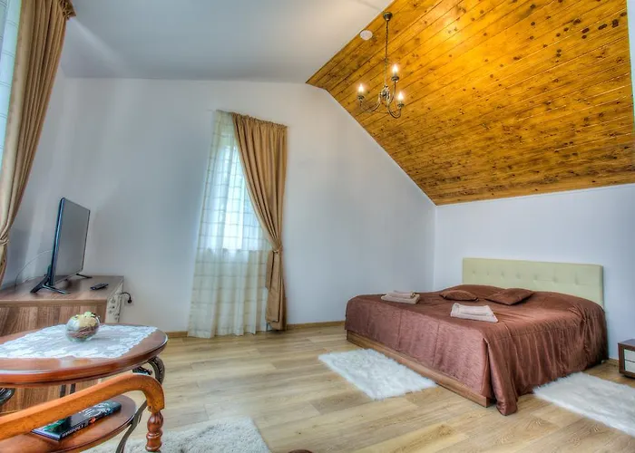 Splendor In The Forest * ブラショフ