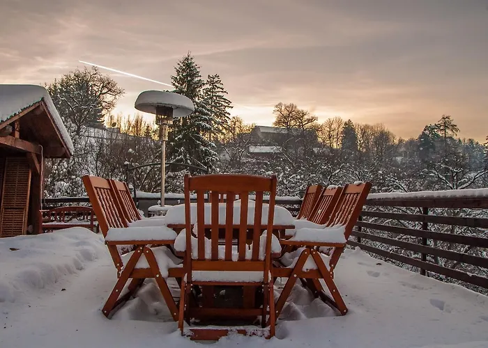 Splendor In The Forest