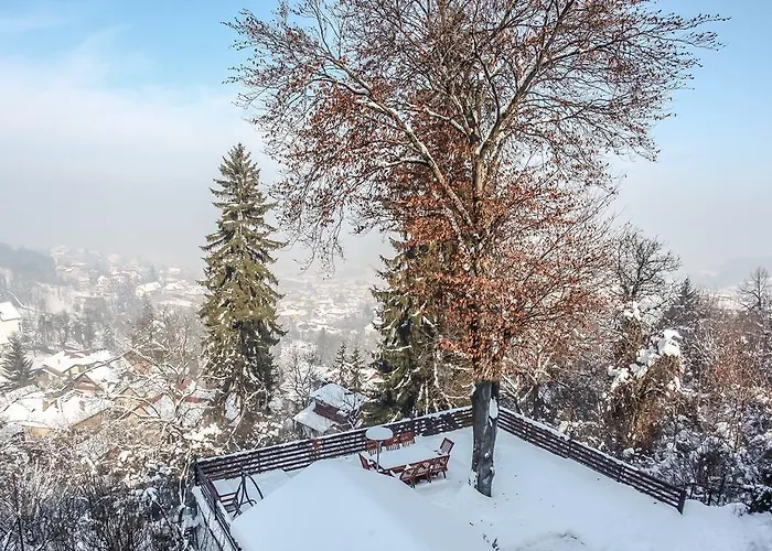 Villa Splendor In The Forest