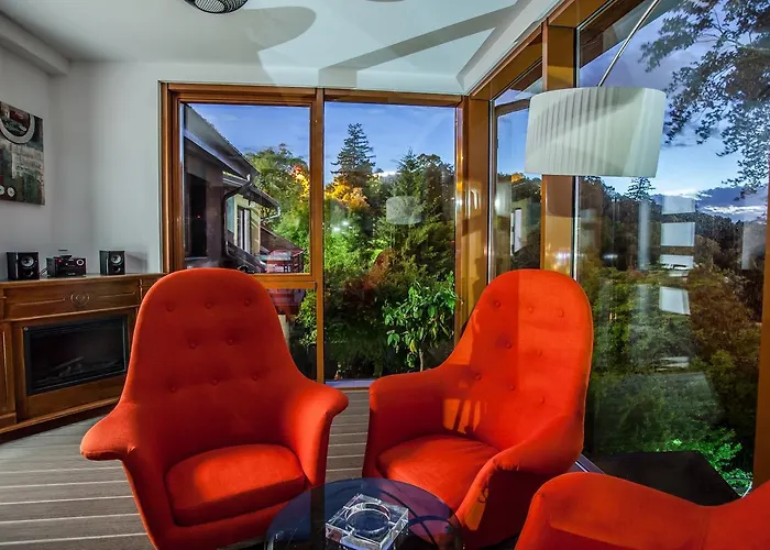 Splendor In The Forest * ブラショフ