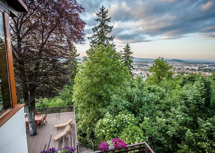 Splendor In The Forest