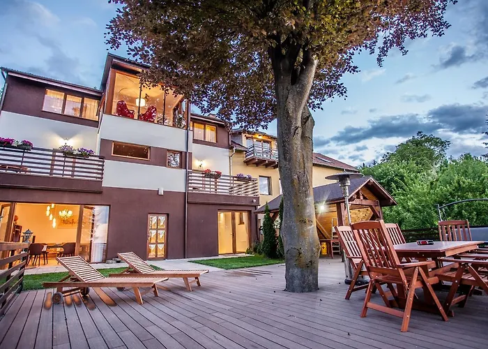 Splendor In The Forest * Braşov